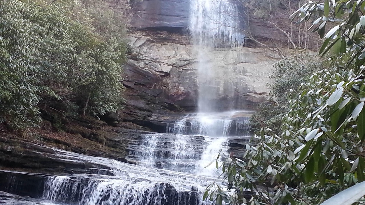 Photo of Others in Lake Toxaway