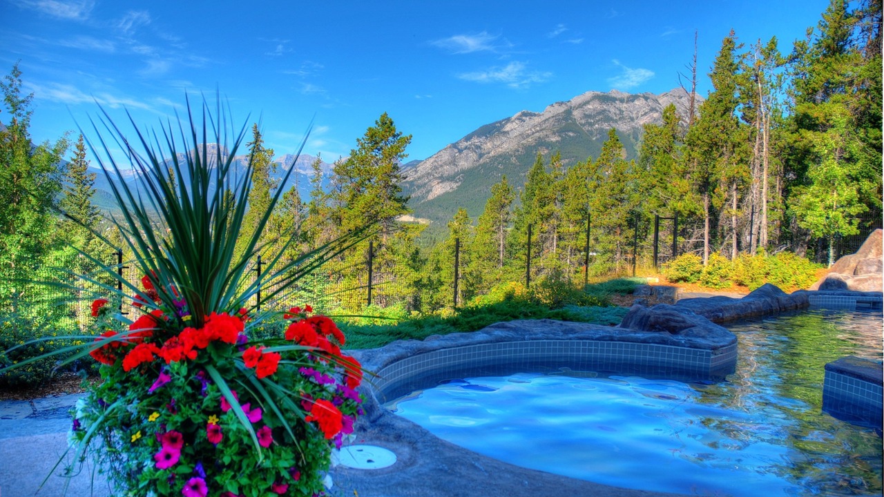 Photo of Others in Banff