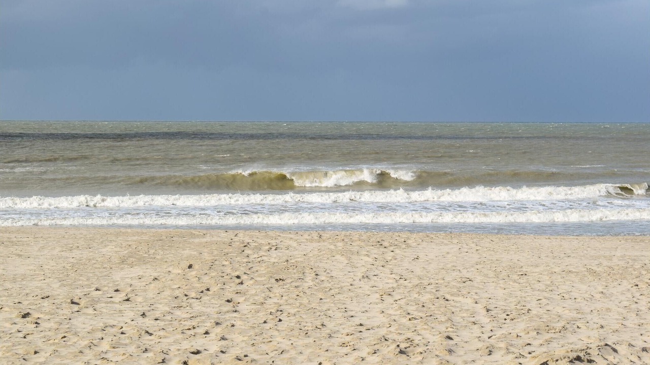 Photo of Others in Adinkerke