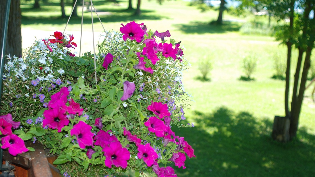 Photo of Outdoor in Nevis