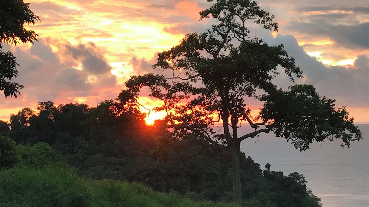 Photo of Others in Quepos