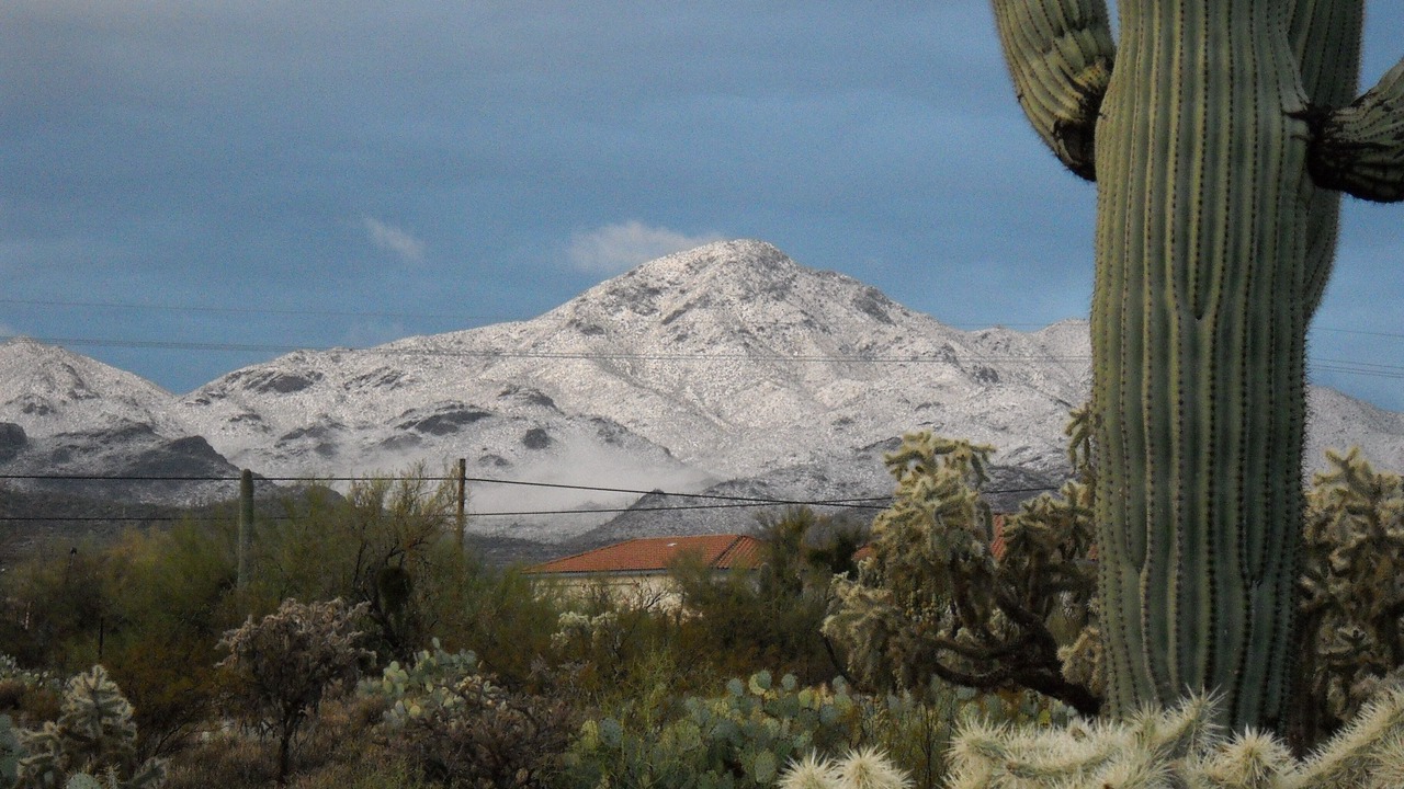 Photo of Others in Cortaro