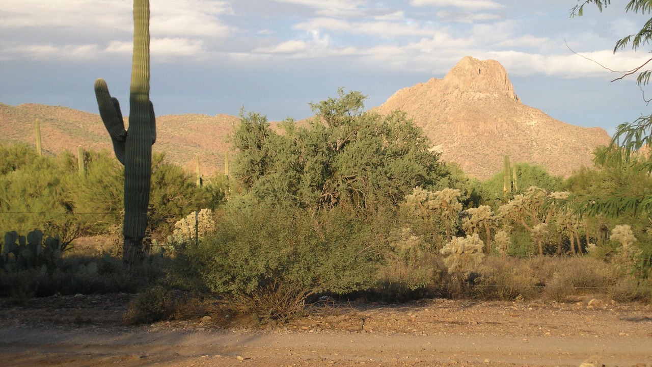 Photo of Others in Cortaro