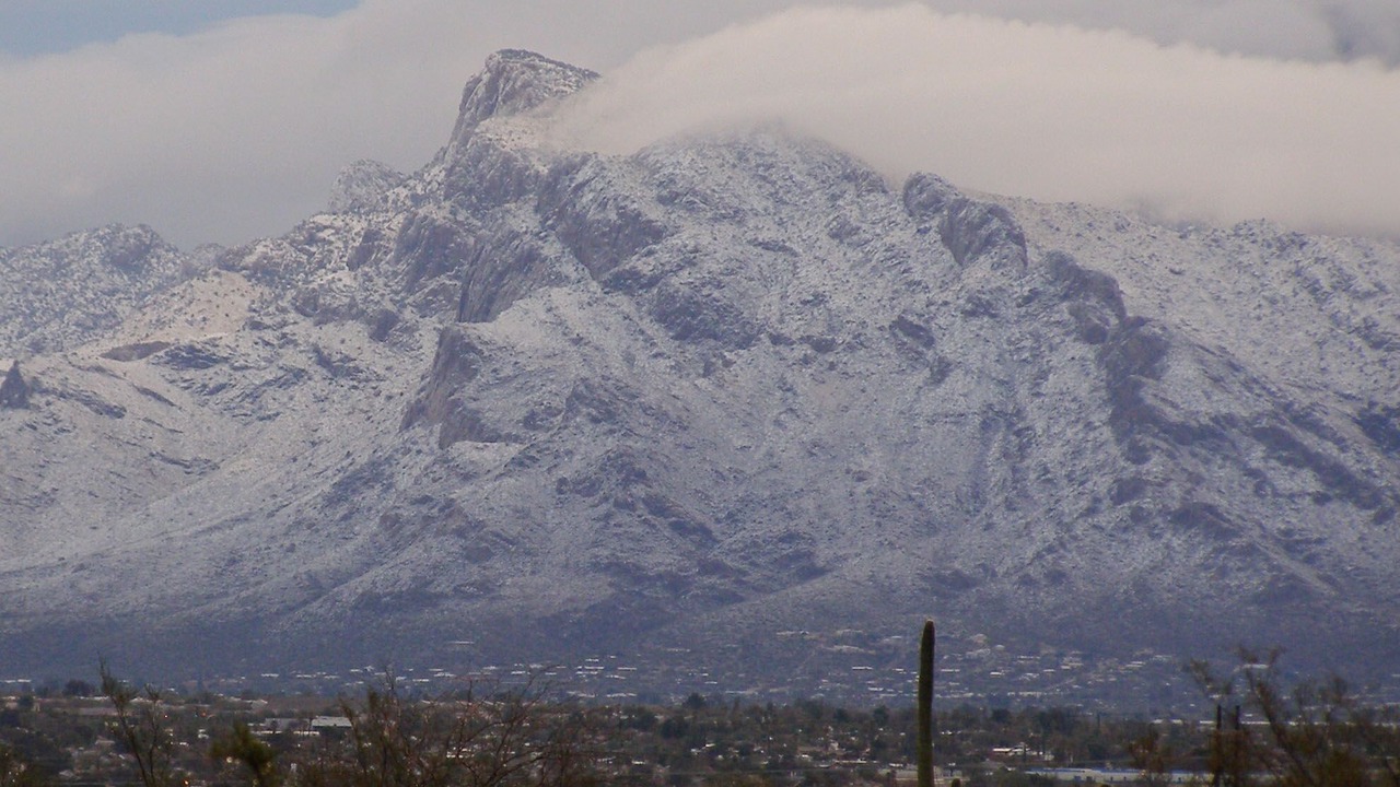 Photo of Others in Cortaro