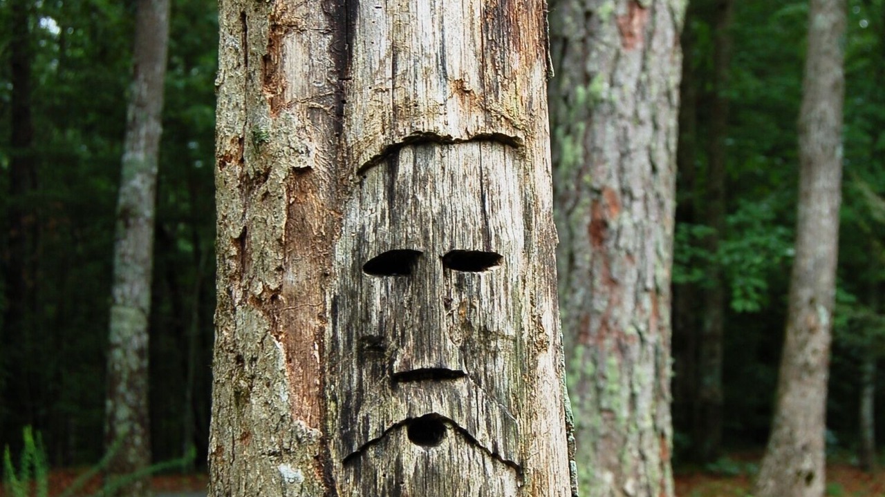 Photo of Others in Cedar Mountain