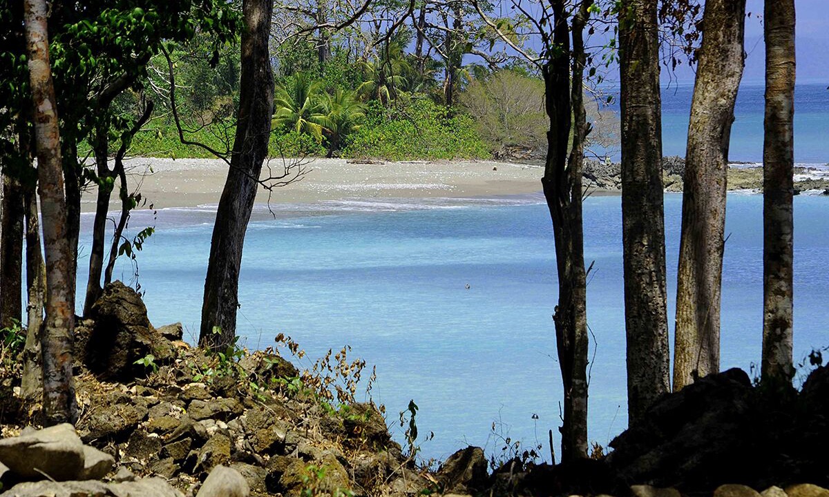 Photo of Outdoor in Cabo Matapalo