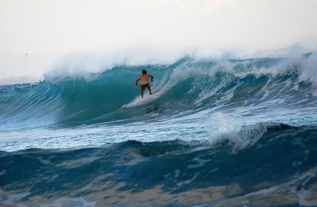 Photo of Others in Cabo Matapalo