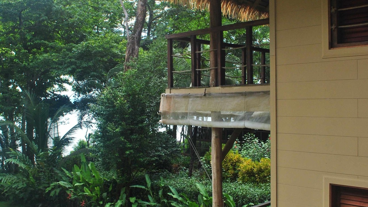 Photo of Outdoor in Cabo Matapalo