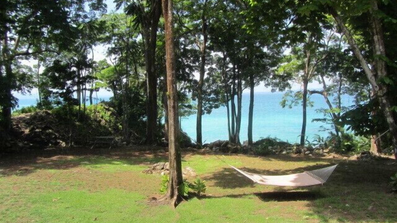 Photo of Others in Cabo Matapalo