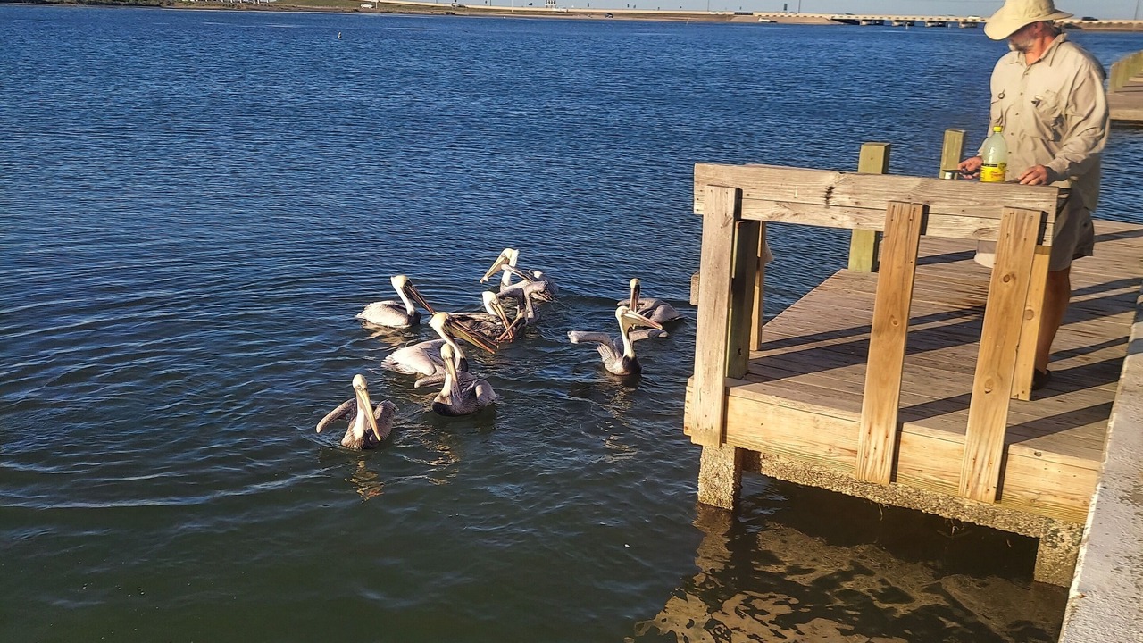 Photo of Others in Corpus Christi