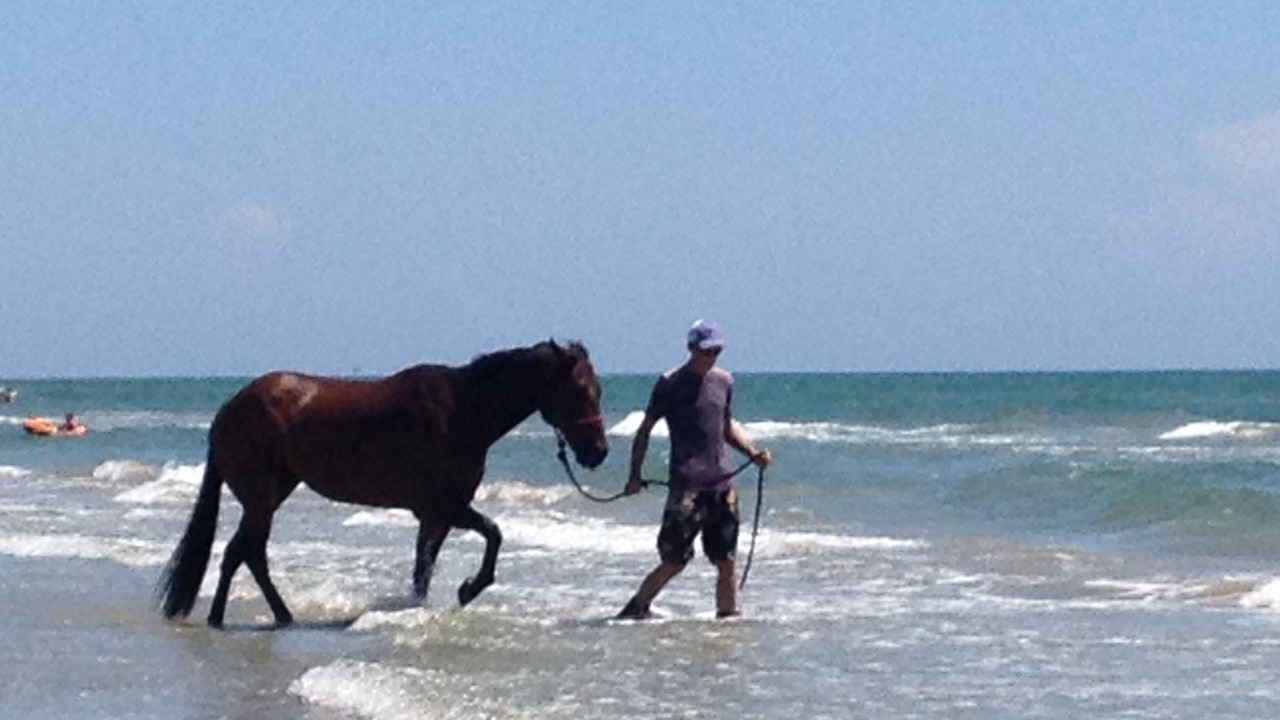 Photo of Others in Corpus Christi
