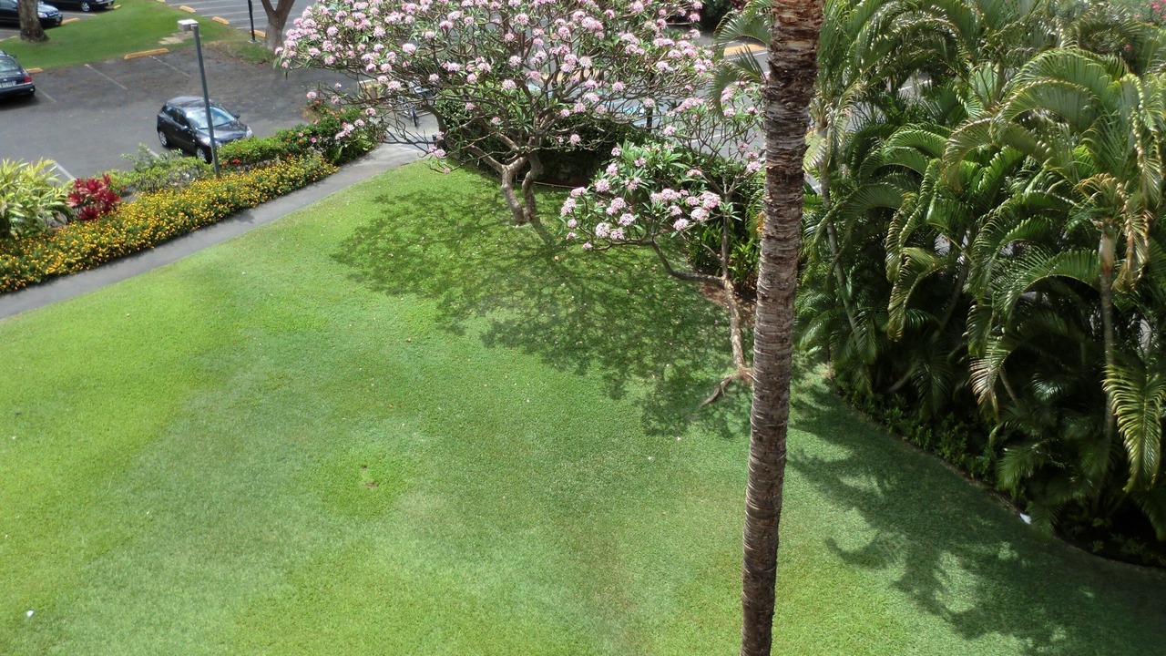 Photo of Others in Kihei