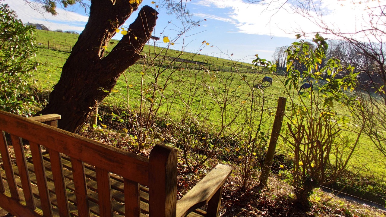 Photo of Outdoor in Saltash
