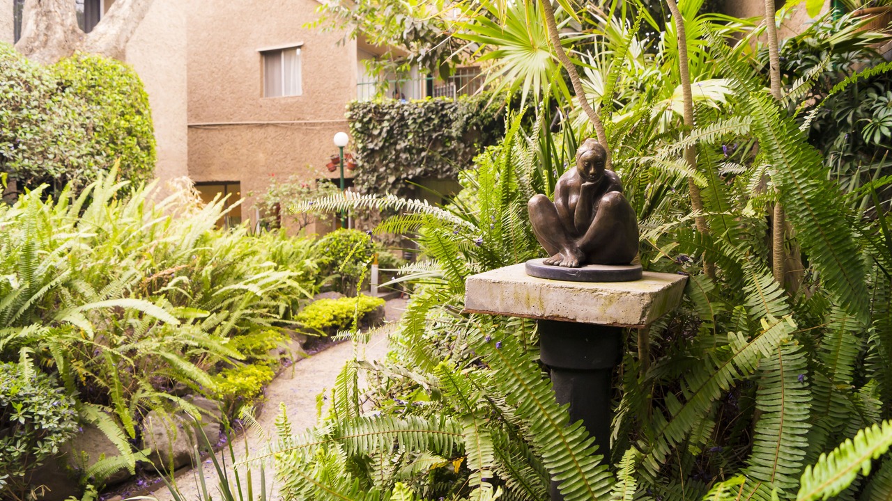 Photo of Outdoor in Campestre