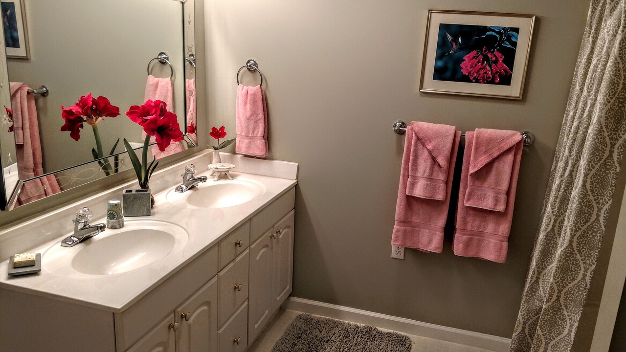 Photo of Bathroom in Hendersonville