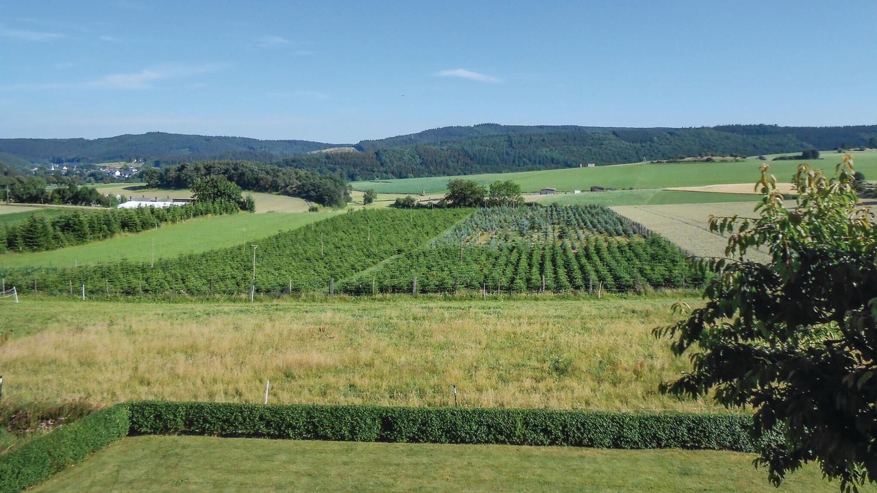 Photo of Others in Duedinghausen