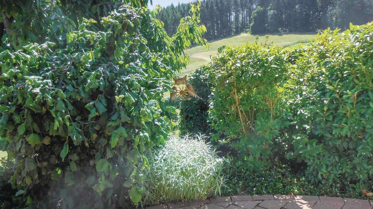 Photo of Others in Duedinghausen