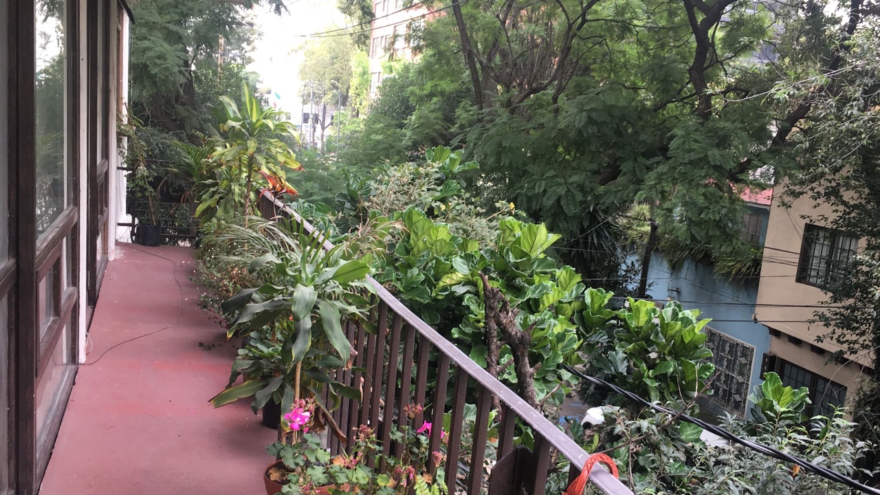 Photo of Outdoor in La Condesa