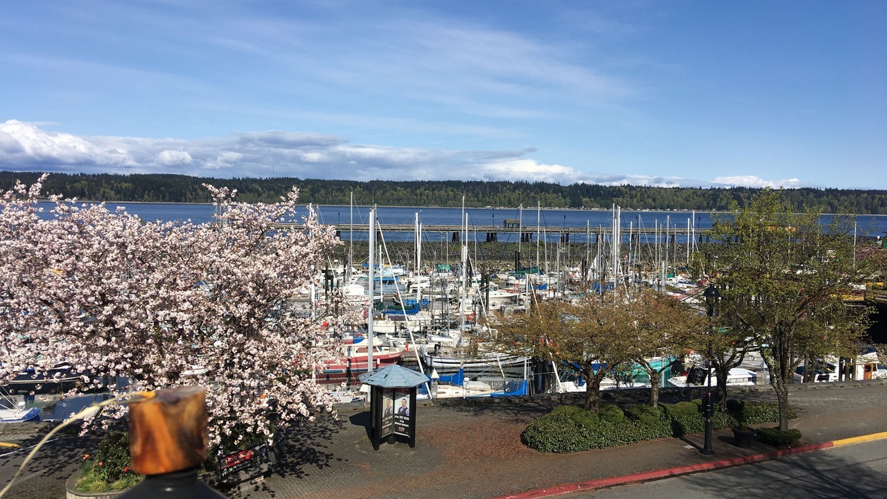 Photo of Others in Campbell River