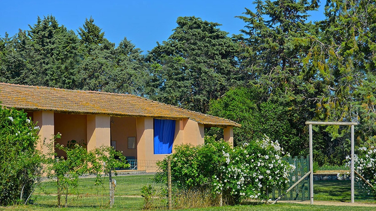 Photo of Outdoor in Pescia Romana