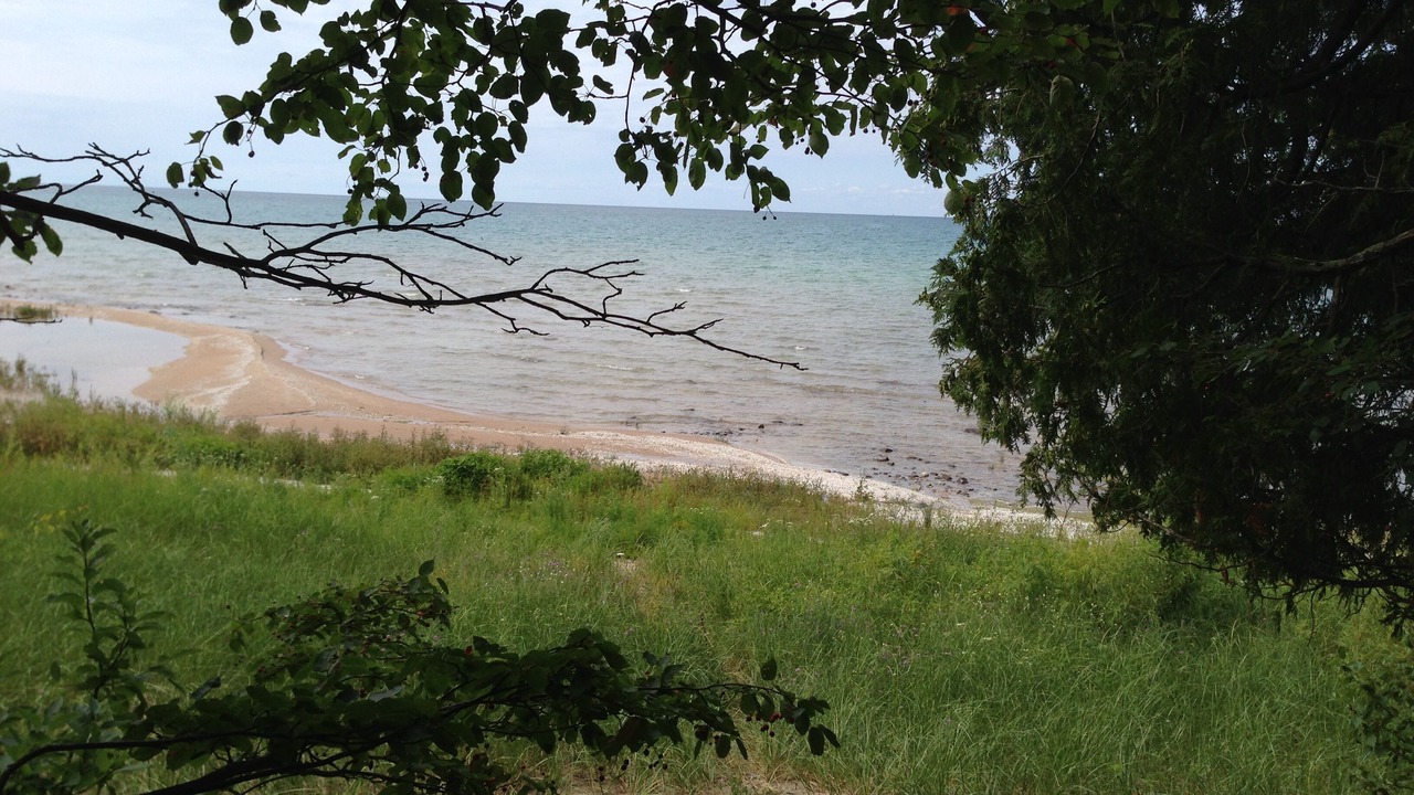 Photo of Others in Harbor Springs