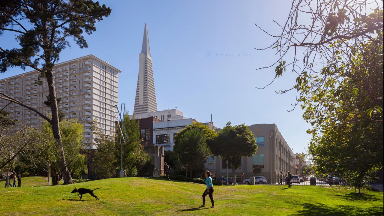 Photo of Others in Hayes Valley
