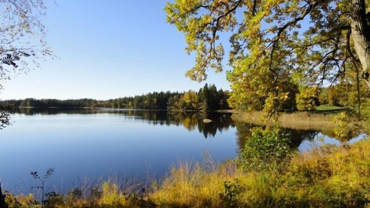 Photo of Outdoor in Hallaryd