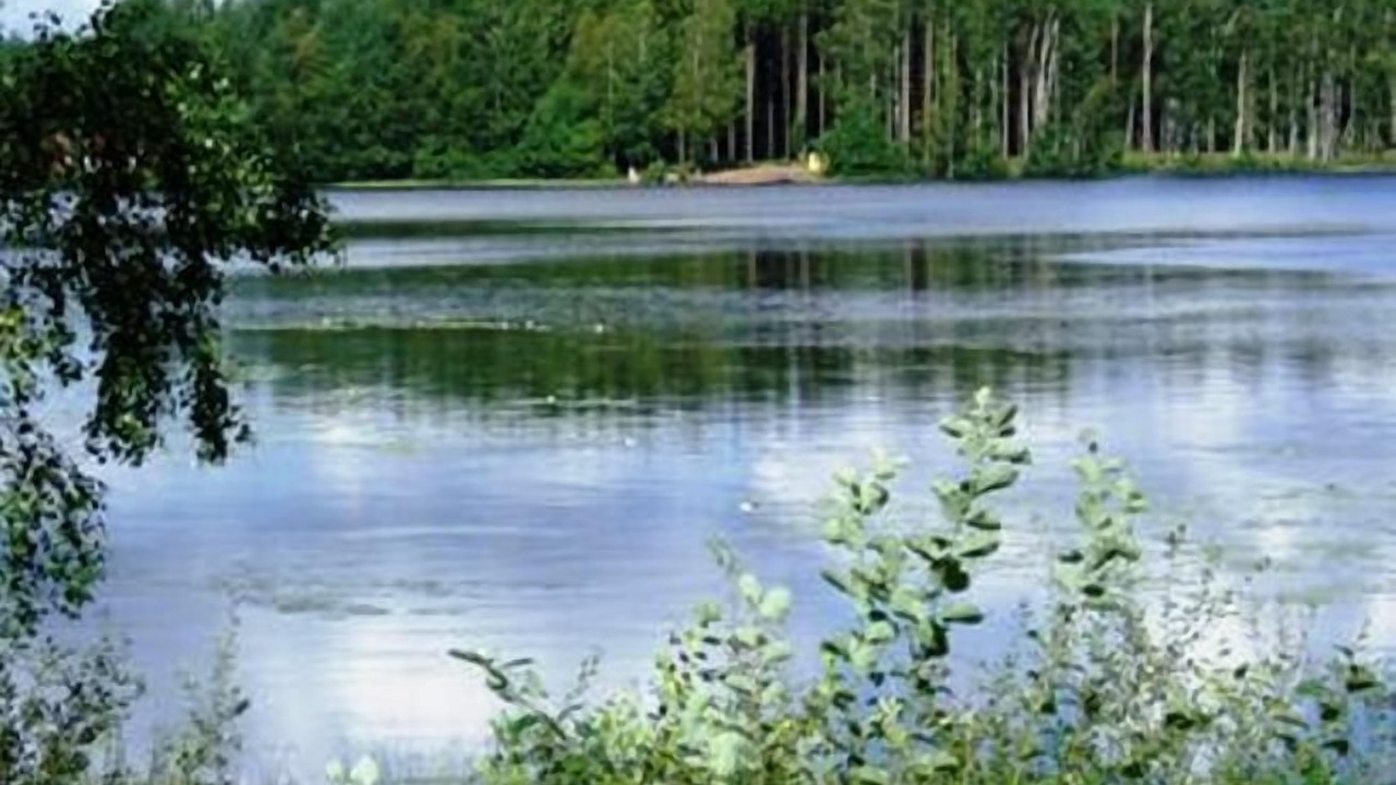 Photo of Outdoor in Hallaryd