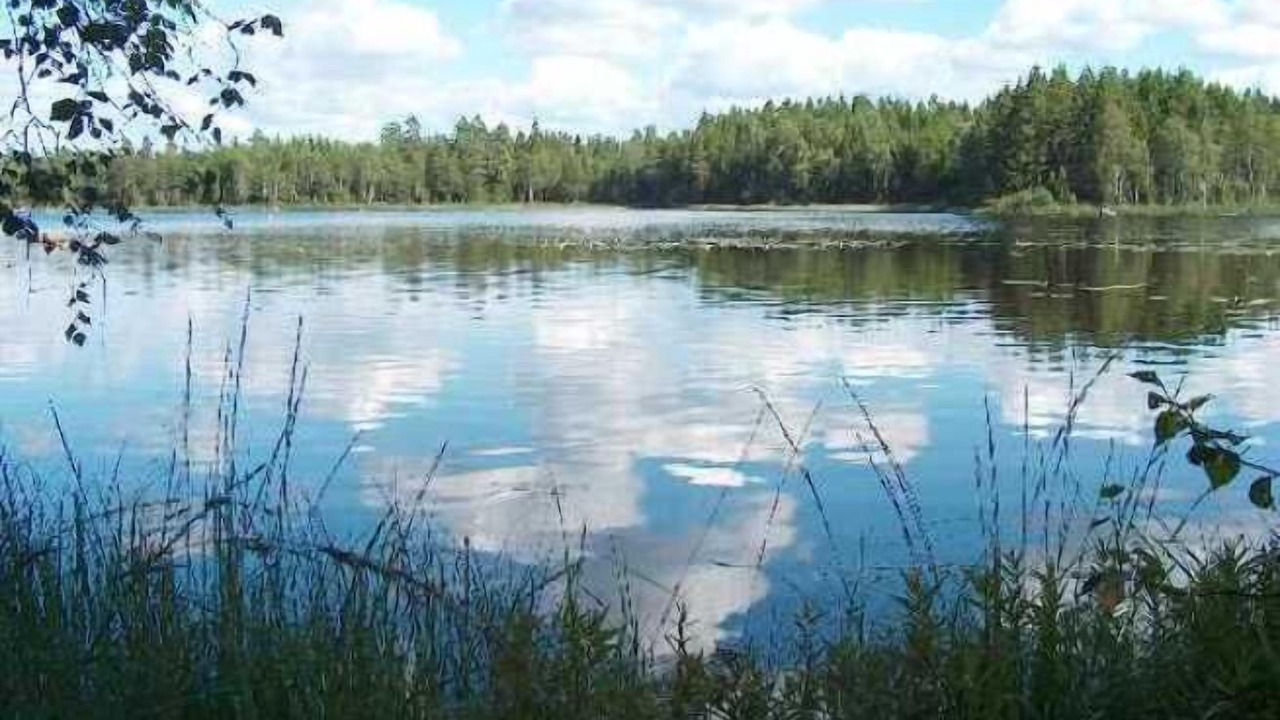 Photo of Outdoor in Hallaryd