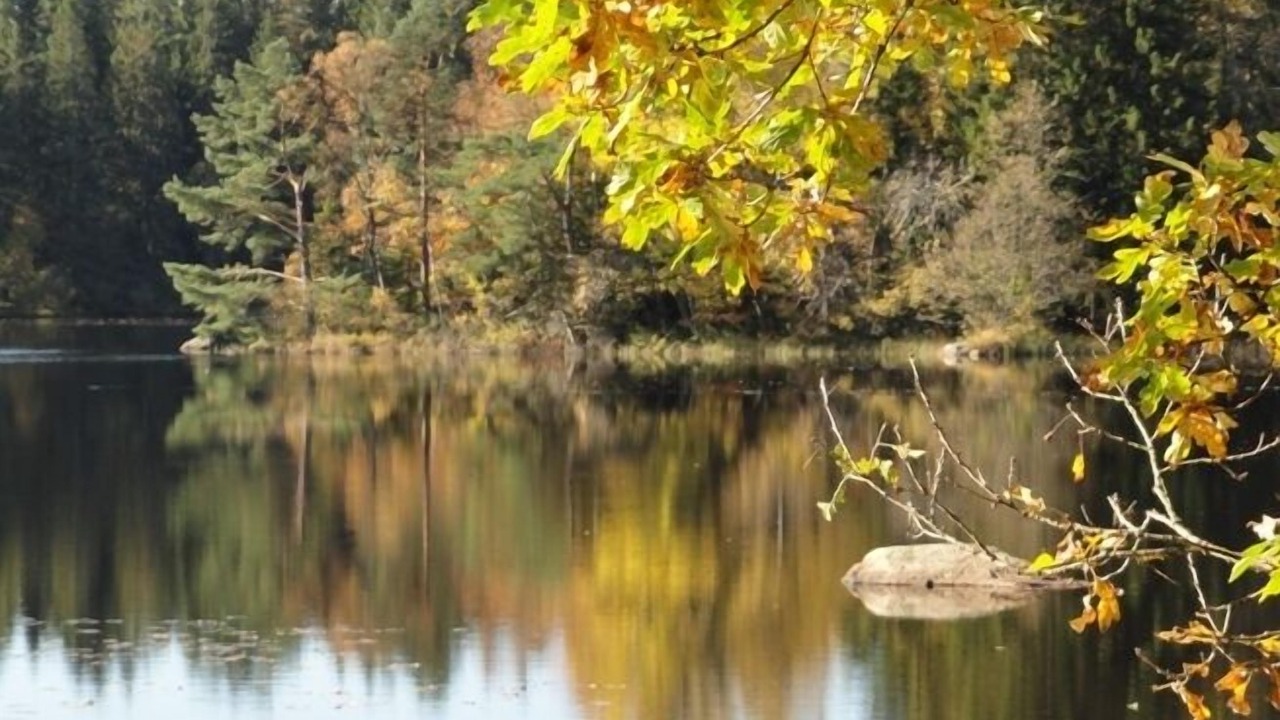 Photo of Outdoor in Hallaryd