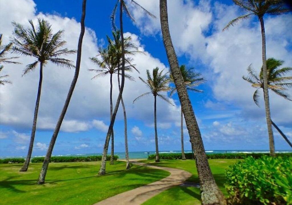Photo of Others in Kapaa