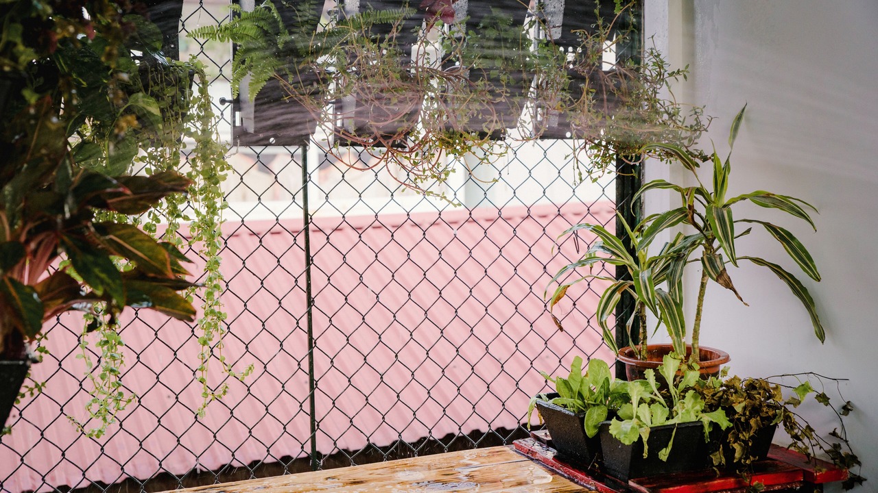 Photo of Outdoor in Van Mieu
