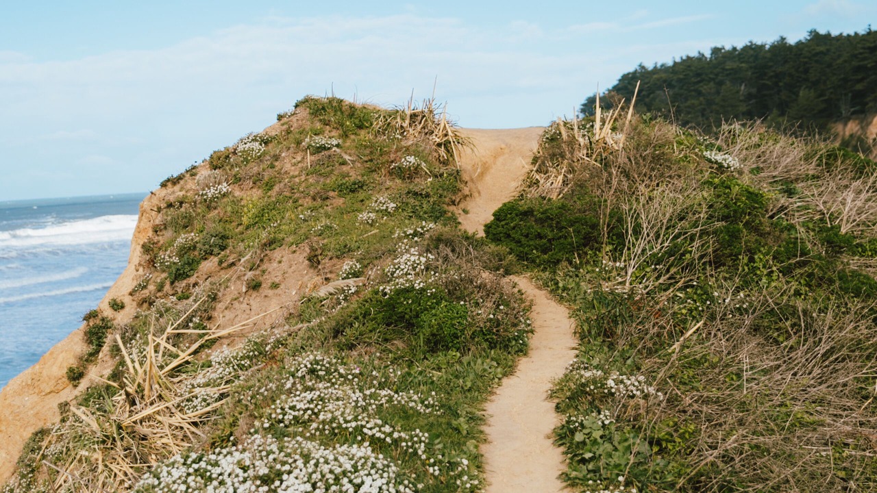 Photo of Outdoor in Moss Beach