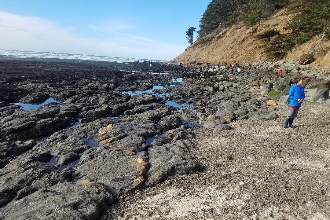 Photo of Others in Moss Beach