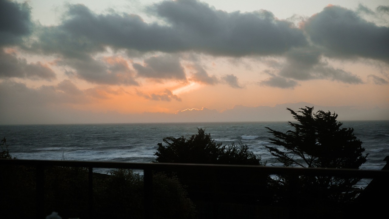 Photo of Others in Moss Beach