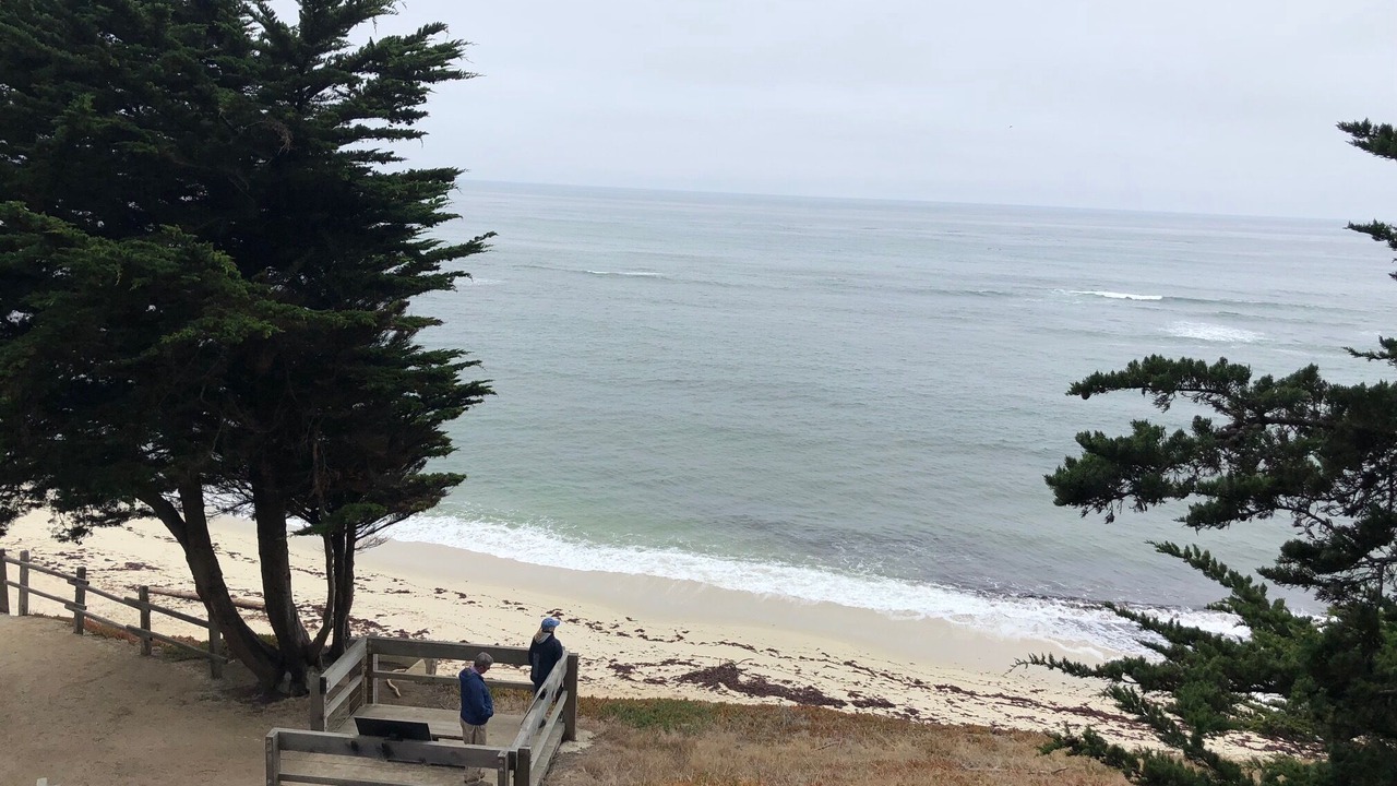 Photo of Others in Moss Beach