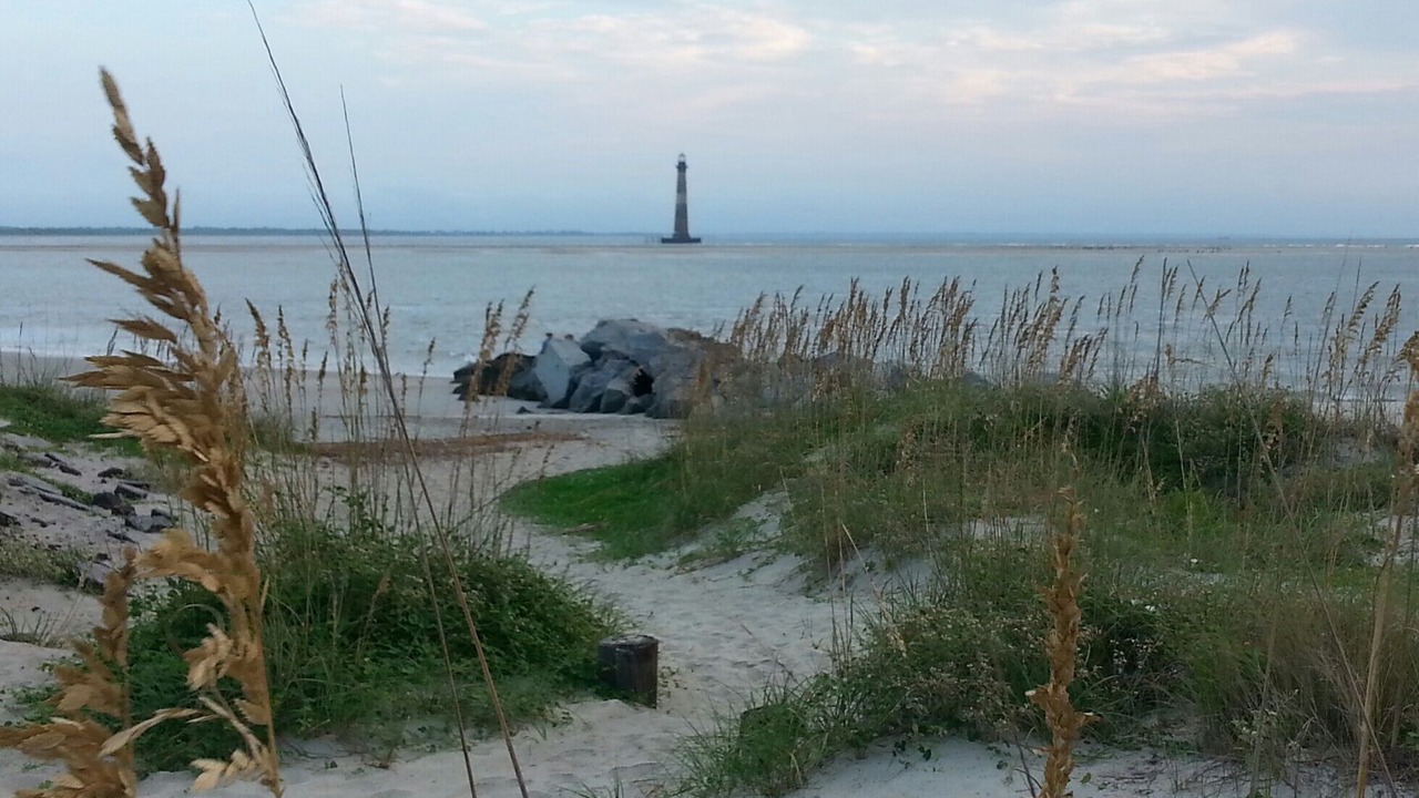 Photo of Others in Folly Beach