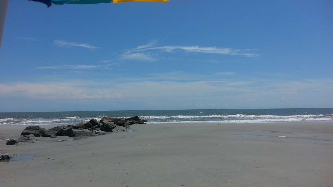 Photo of Others in Folly Beach
