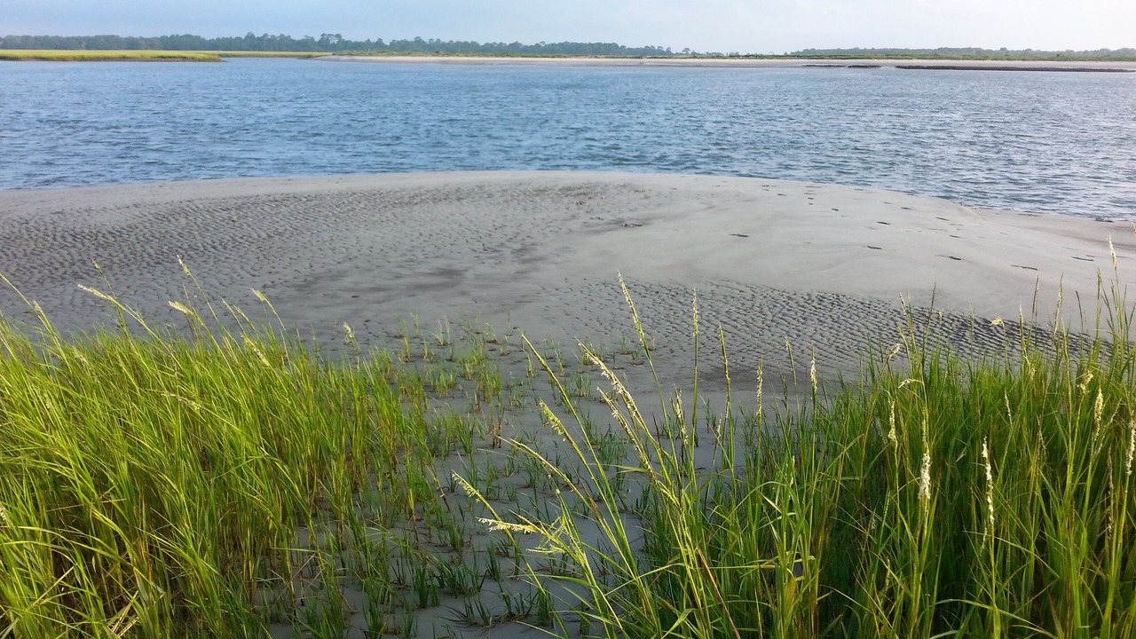 Photo of Others in Folly Beach