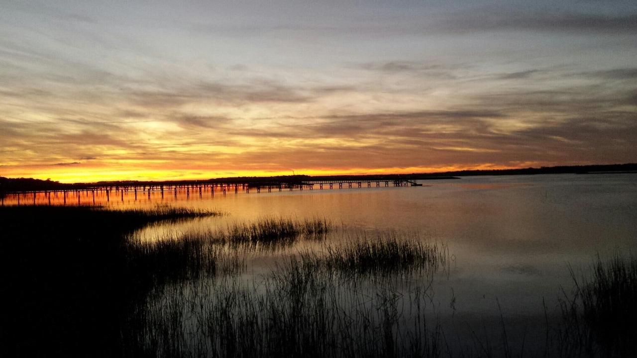Photo of Others in Folly Beach