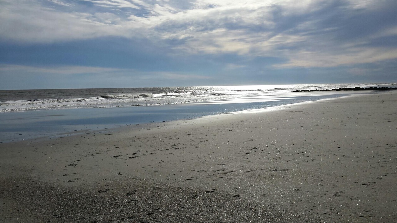 Photo of Others in Folly Beach
