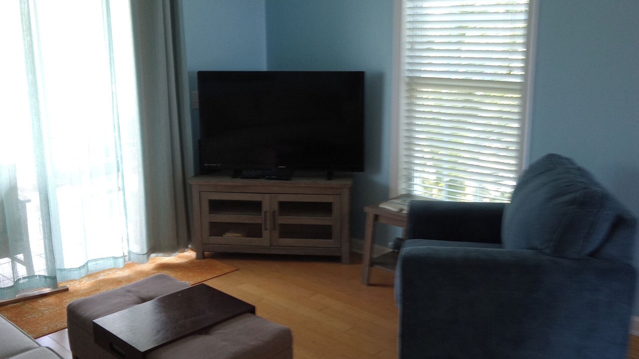 Photo of Livingroom in Folly Beach