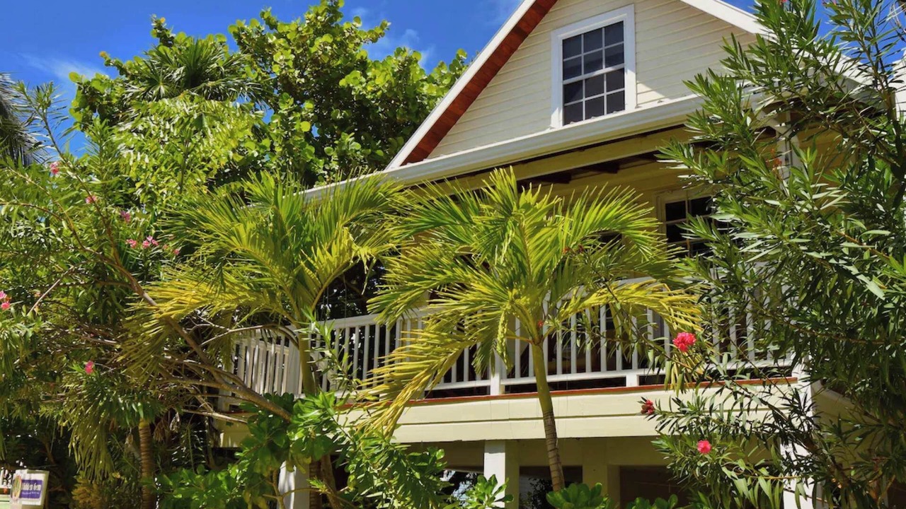 Photo of Outdoor in Caye Caulker