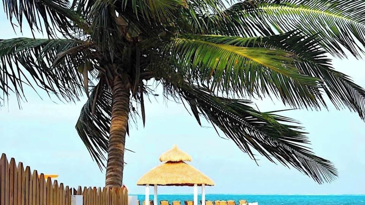 Photo of Outdoor in Caye Caulker