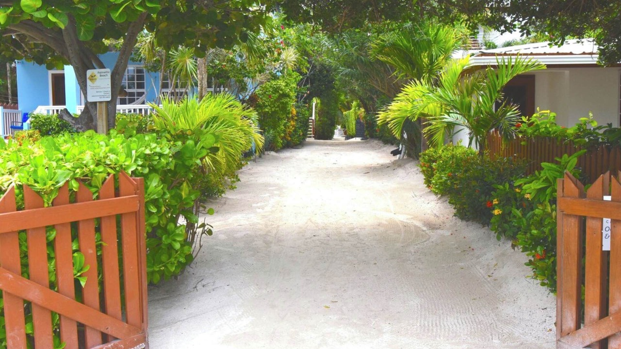 Photo of Outdoor in Caye Caulker