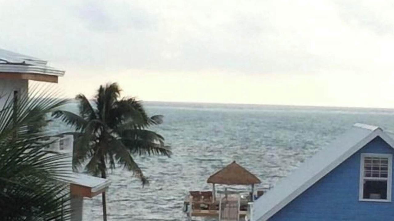 Photo of Outdoor in Caye Caulker