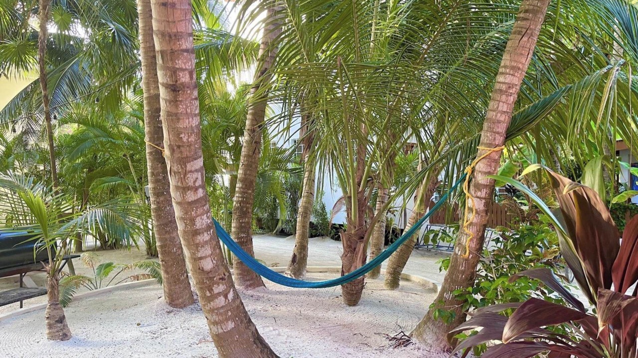 Photo of Outdoor in Caye Caulker