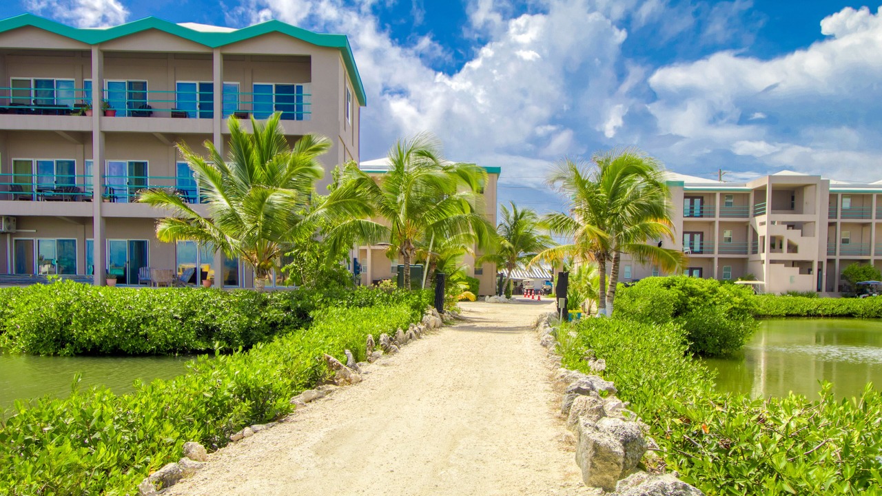 Photo of Outdoor in San Pedro