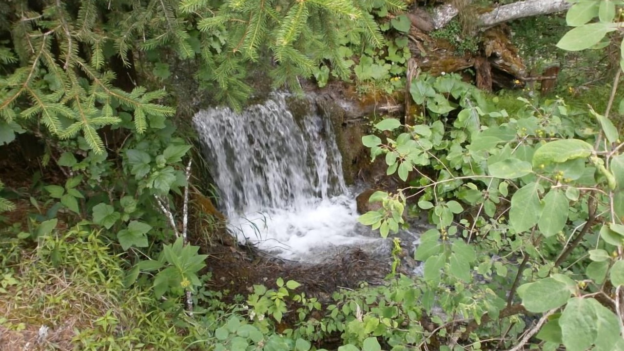 Photo of Outdoor in Sent