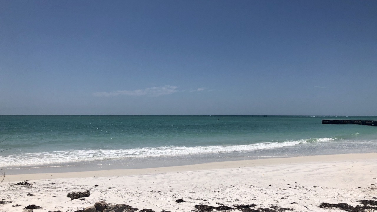 Photo of Others in Whitney Beach